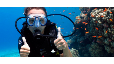 Women in the Professional Dive Industry